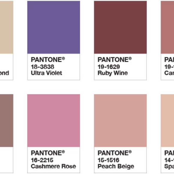 Meet your Posher, Sandra - Picture 4 of 6